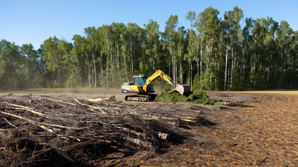 Forestry mulcher clearing a lot